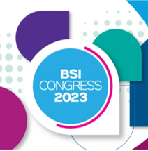 BSI 2023