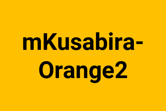 mKusabira-Orange2-1