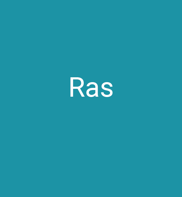 Ras2