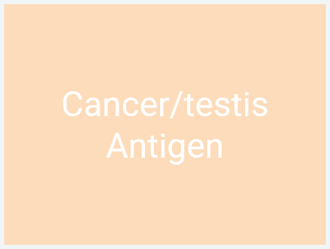 Tumour Antigens_Cancer germline antigen_Cancer testis Antigen