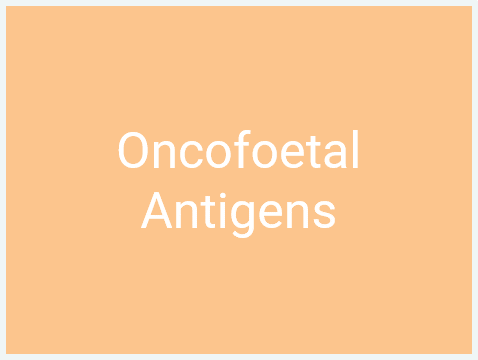 Tumour Antigens_Cancer germline antigen_Oncofoetal Antigen