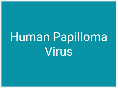 Tumour Antigens_Oncoviral antigen_Human Papilloma Virus