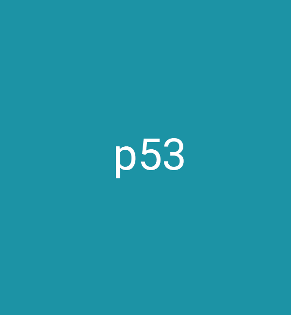 p532