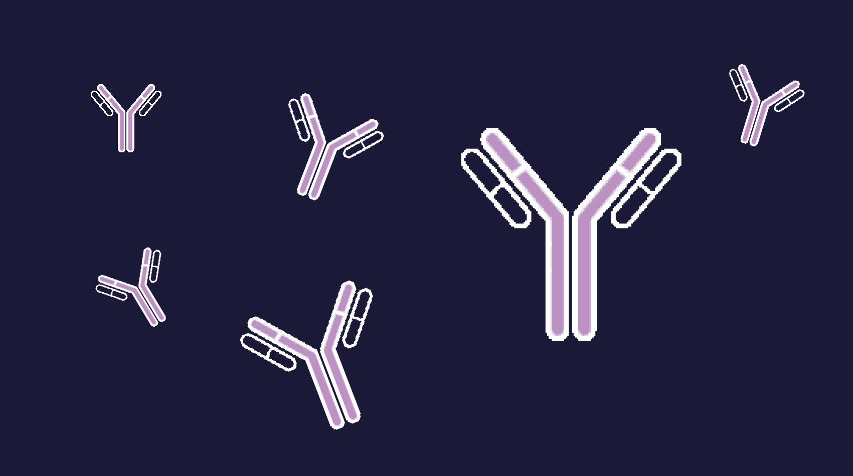 research tool placeholders2