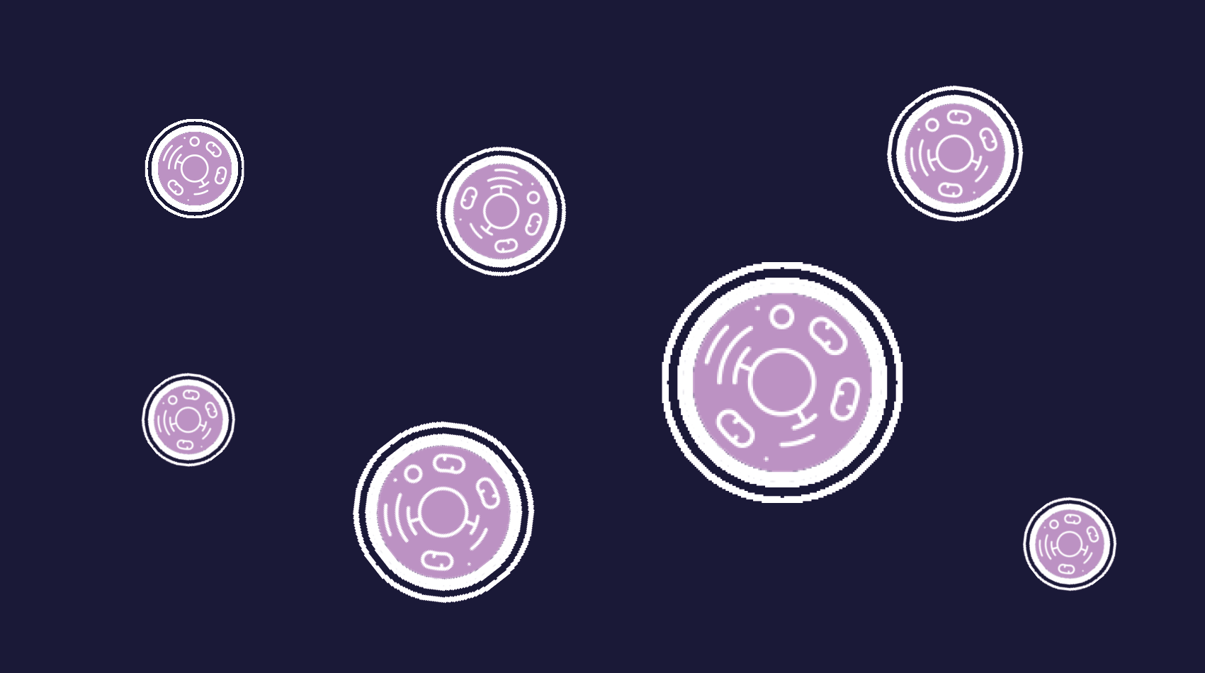 research tool placeholders3