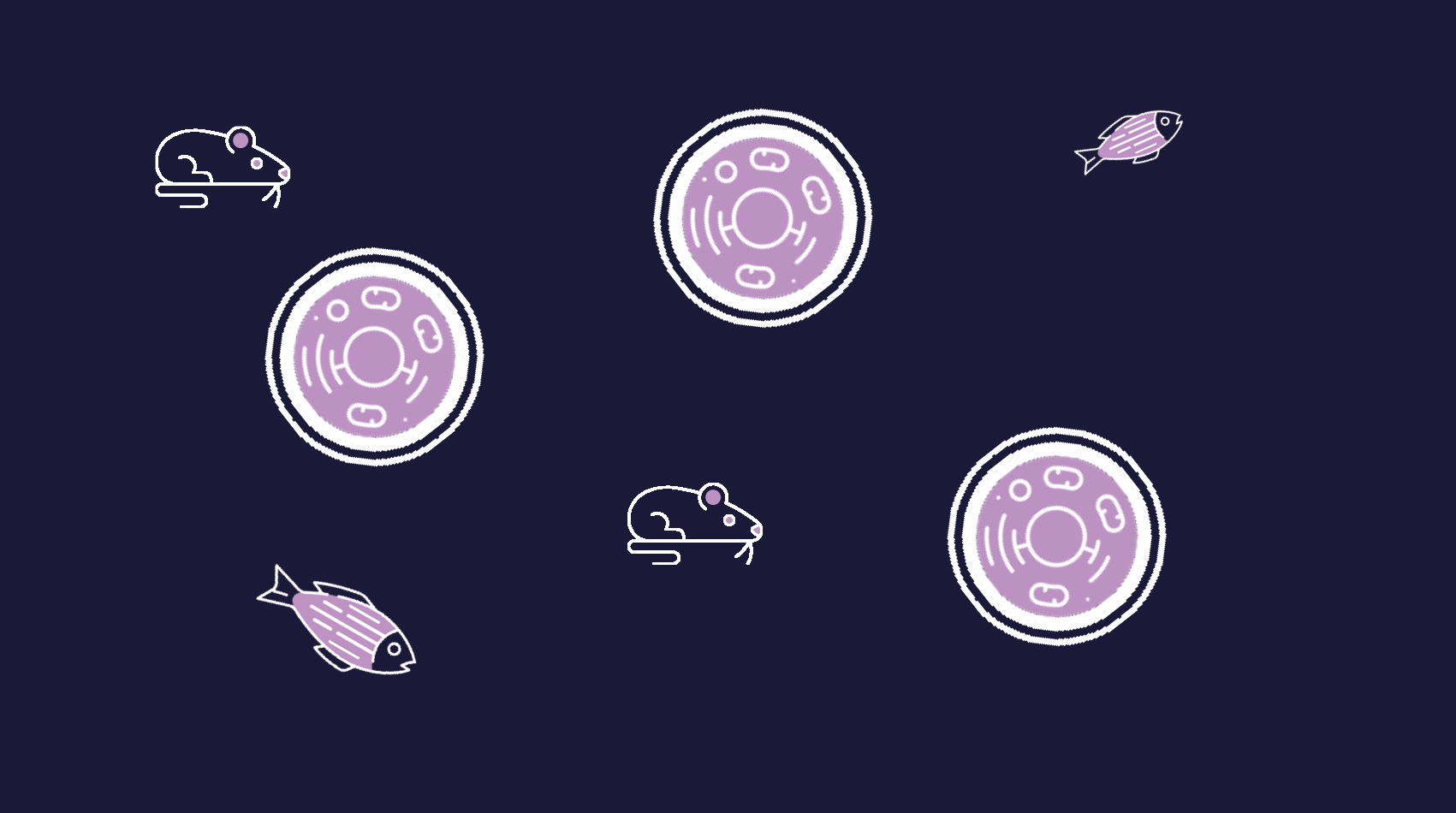 research tool placeholders4