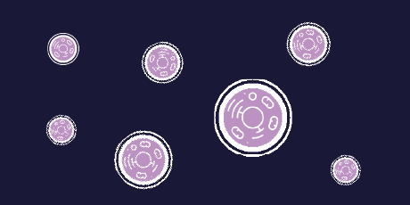 Cell lines 460 x230-8-1